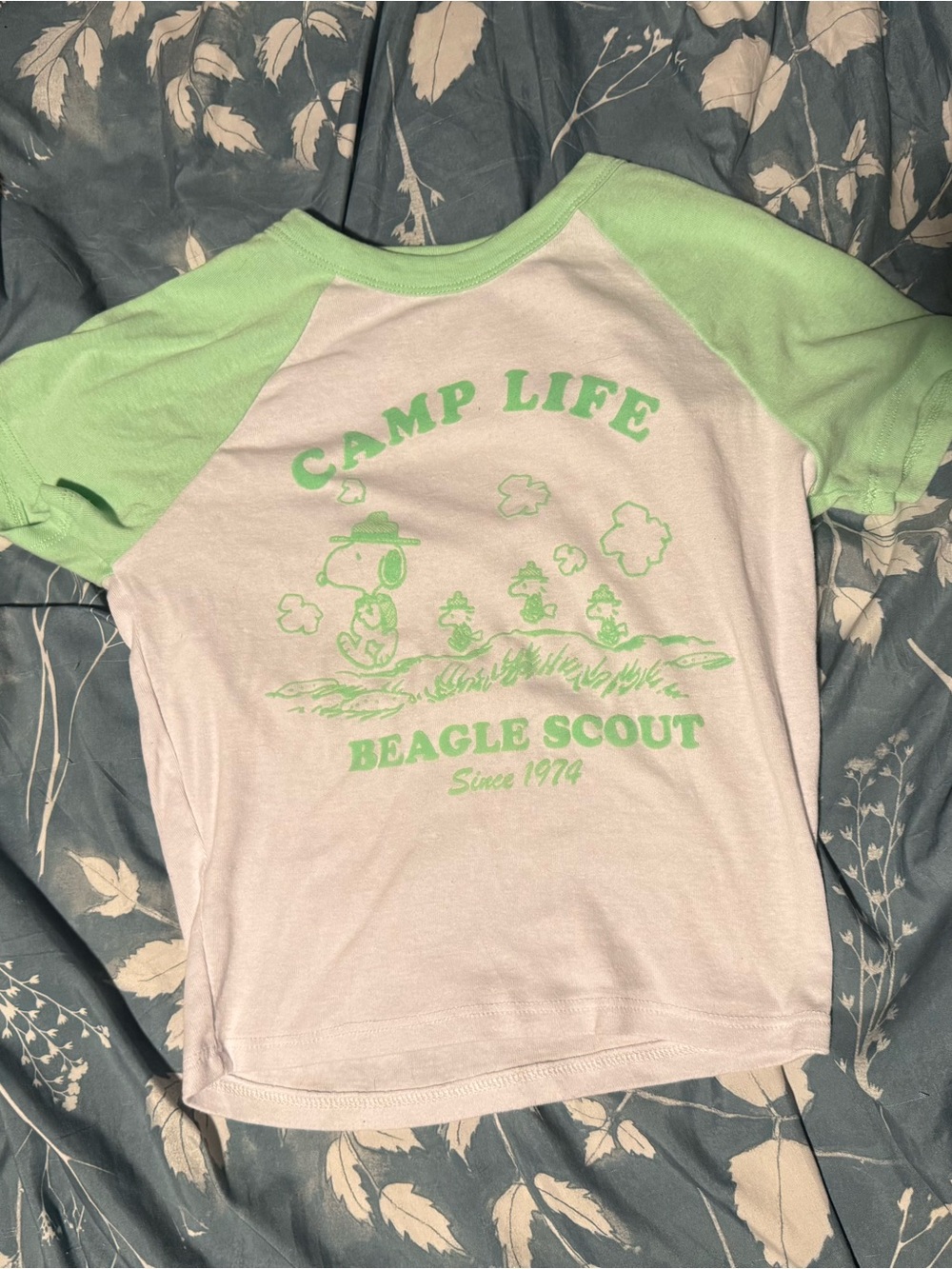 Peanuts Camp Life Beagle Scout Raglan Tee - Light Green & White